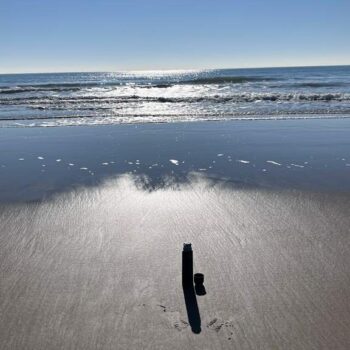 Coaching Fleurs de Bach individuel en entreprise