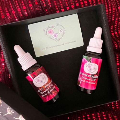 Coffret de Noel DUO Composé 10 et 12